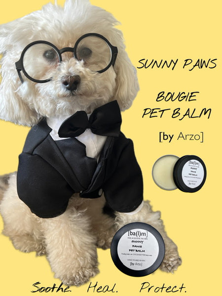 SUNNY PAWS-BOUGIE PET BALM